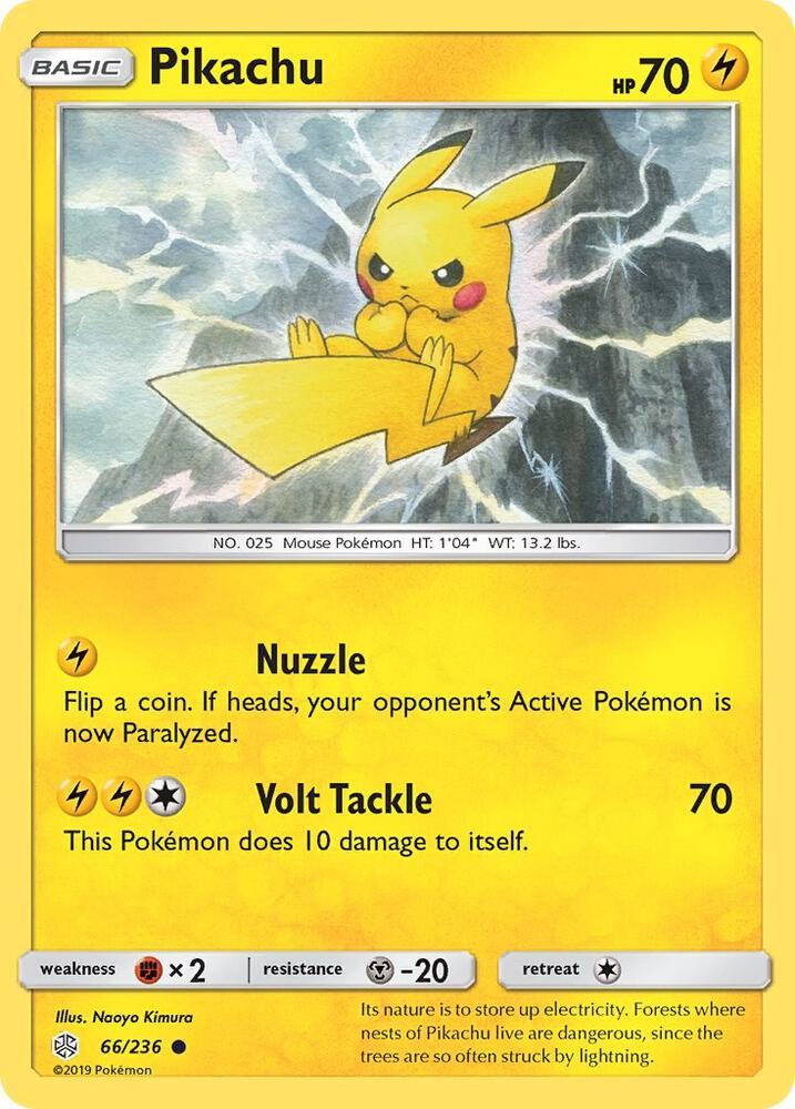pikachu 66
