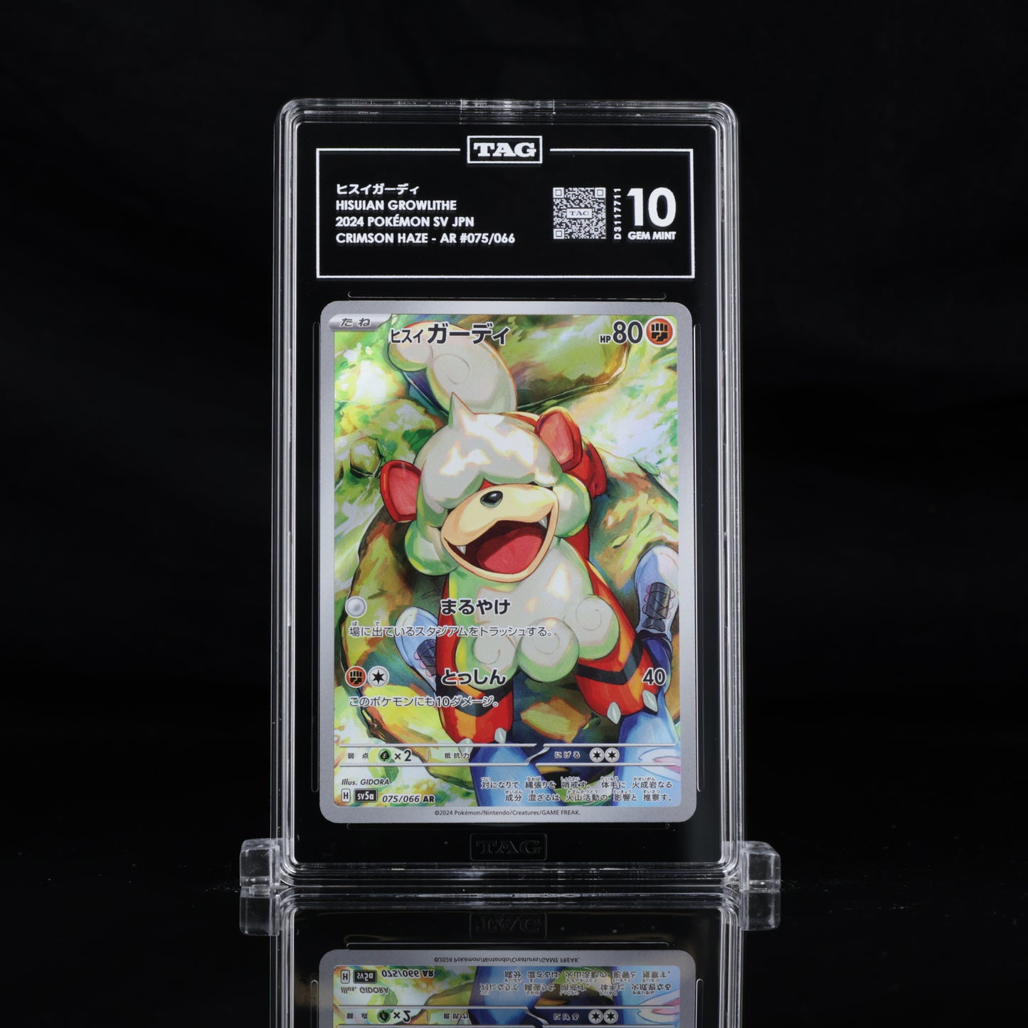 TAG 10 2024 POKÉMON SCARLET & VIOLET JAPANESE #075/066 CRIMSON HAZE HISUIAN GROWLITHE - PSA