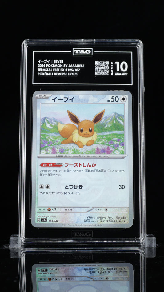 TAG 10 Eevee #125/187 2024 Terastal Fest ex PSA 10