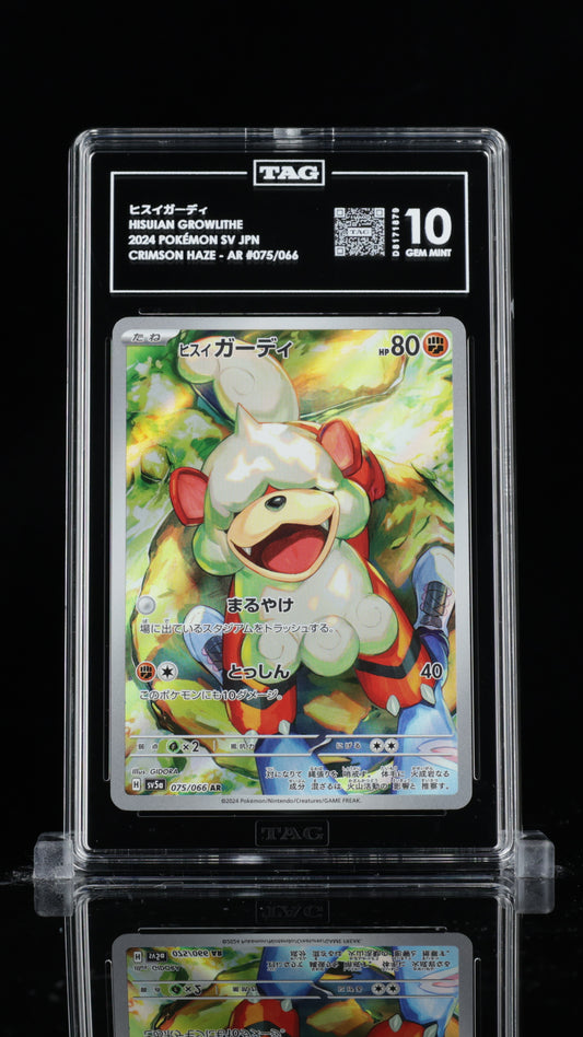 TAG 10 Hisuian Growlithe #075/066 2024 Crimson Haze PSA 10