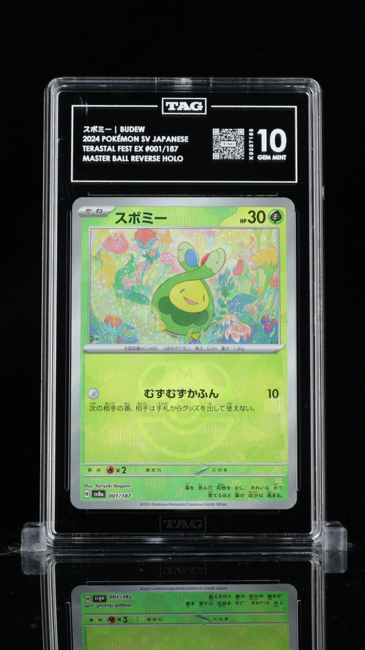 TAG 10 Budew Master Ball #001/187 2024 Terastal Fest ex PSA 10
