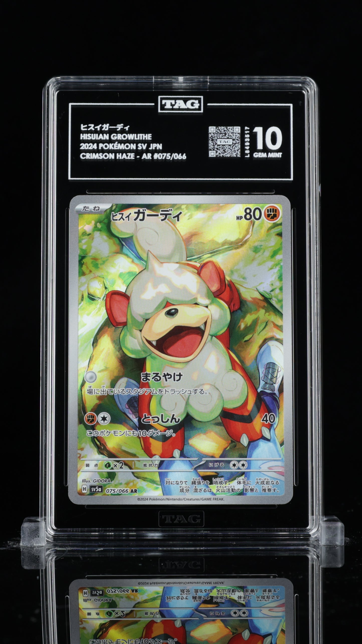 TAG 10 Hisuian Growlithe #075/066 2024 Crimson Haze PSA 10