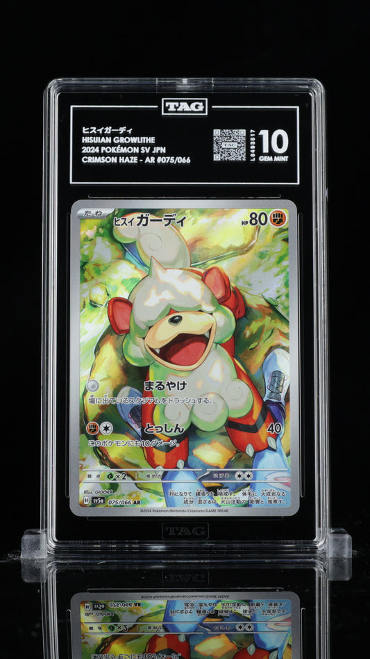TAG 10 Hisuian Growlithe #075/066 2024 Crimson Haze PSA 10