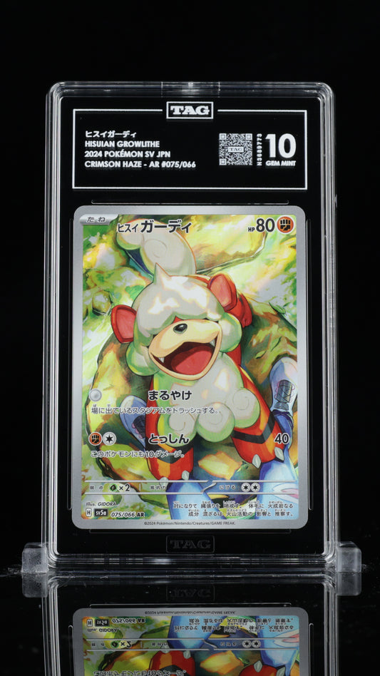 TAG 10 Hisuian Growlithe #075/066 2024 Crimson Haze PSA 10