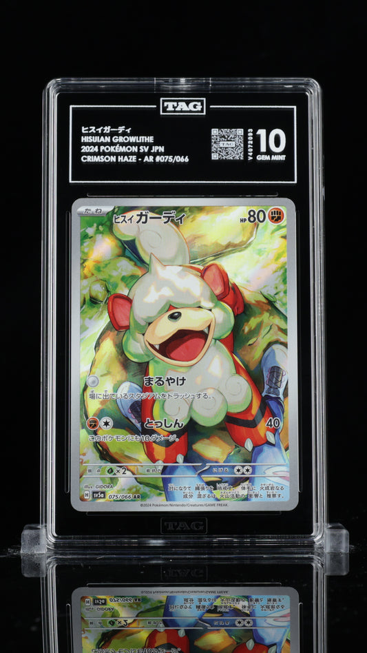 TAG 10 Hisuian Growlithe #075/066 2024 Crimson Haze PSA 10